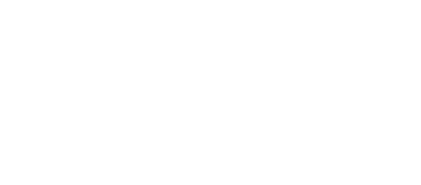 Flex in the City written logo